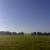 Morning field @ anymany