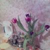 цветы3 @ Vilka_Setevaya
