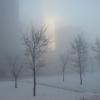 зимнее туманное утро @ Inchikov