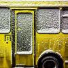 Жёлтый автобус @ Amyfoto